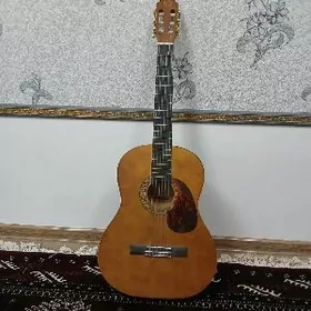 gitara MB