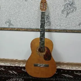 MB GITARA