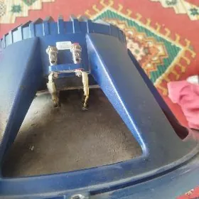 toý kolonka dinamik