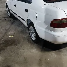 Toyota Corona 1995