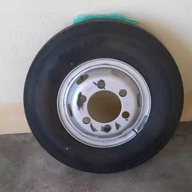 canter teker canter tenlker