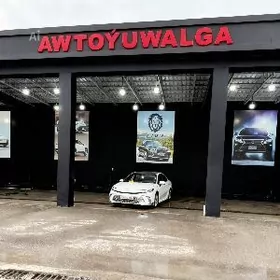 Lion Moyka moyşik gerek