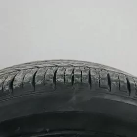 255.45.20 ecopia teker