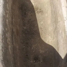 Wanna Palçyk uçin.