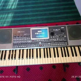pa 900 korg