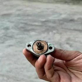 Raspredwal datçik Bezin sepyan