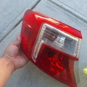 palta kemry yzky cyra morda