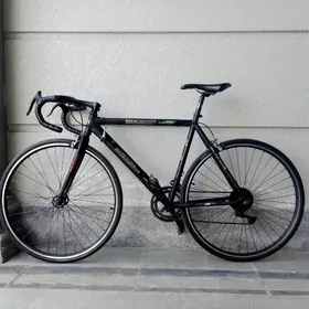 спартивни тигир