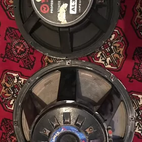 dinamik niski sredni