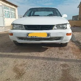 Toyota Corolla 1995