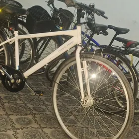 tigir ÿapoşka 27 welo