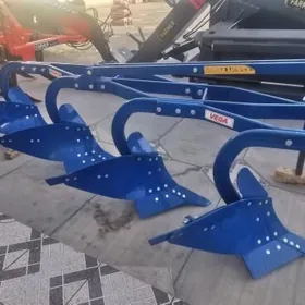 Azal we görnüşleri