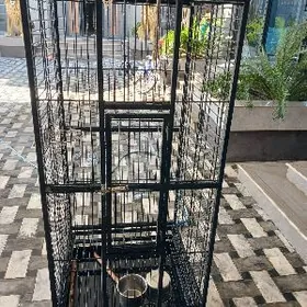 клетка  большая