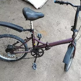 wellik kama dubayskiy