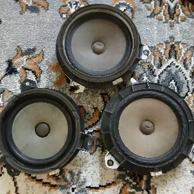 kalonka Morda setka sony