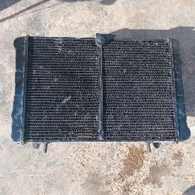 Gazel wolva Radyyatyr