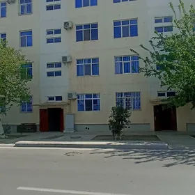 Arenda jay NAGINA 2 KOM