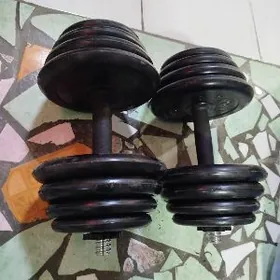 Gantel 30kg ikisi bile