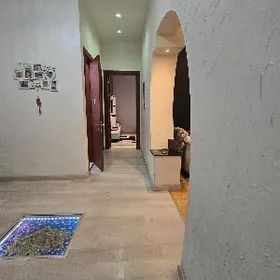 5 ком элитка Айтакова Подвой