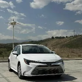 Toyota Corolla 2023