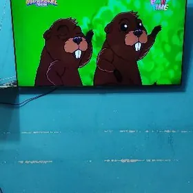 Телевизор  SAMSUNG  55"