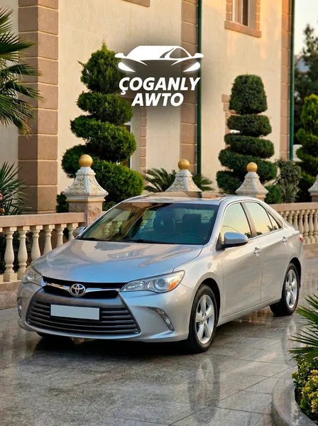 YNAMLY ÇOGANLY AWTO Gallery 5