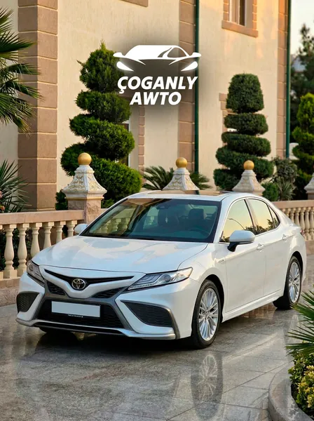 YNAMLY ÇOGANLY AWTO Gallery 7