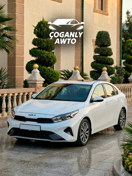 YNAMLY ÇOGANLY AWTO Gallery 6