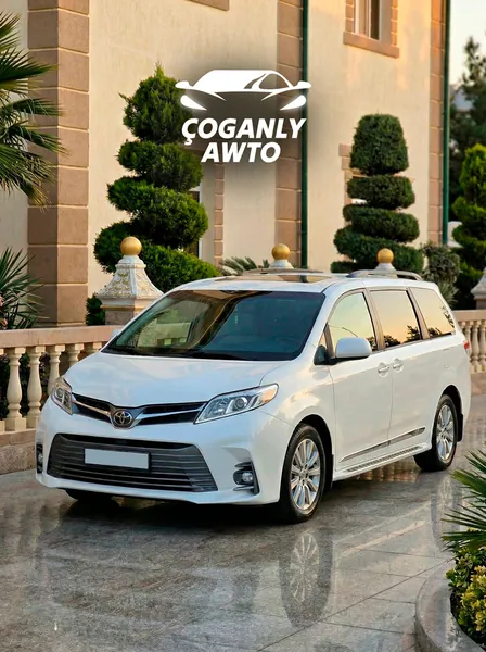 YNAMLY ÇOGANLY AWTO Gallery 4