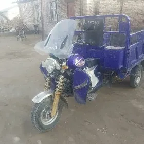 Fekon FK200-14G 2024