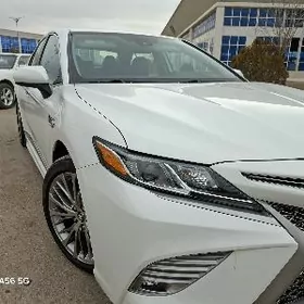 Toyota Camry 2020