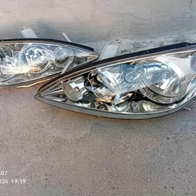 Fara Duty cemry 2005