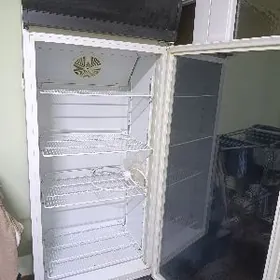 wtrina General holadinik