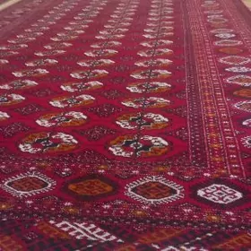 Elde dokalan el Haly