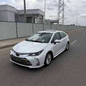 Toyota Corolla 2020