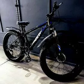 Tokga tekerli tigir.