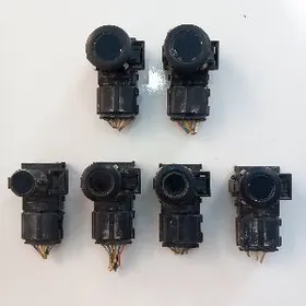 parktronik yewropeyka morda