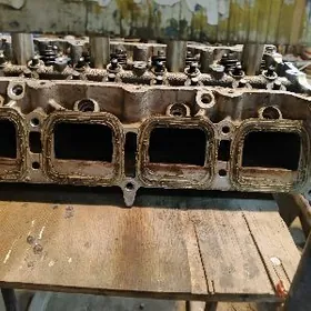 Галовка Палта