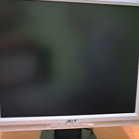 Acer manitor