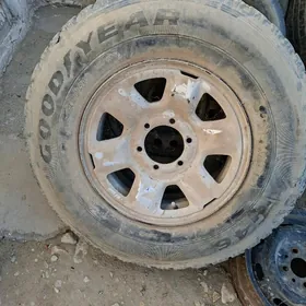 jip massynlara bolya