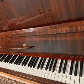 pionina / фортепиано 