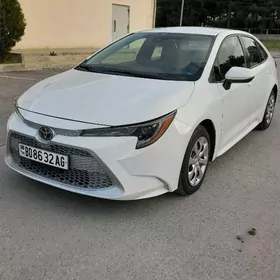 Toyota Corolla 2020
