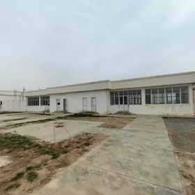 Ammarlar merkezinde naharhana