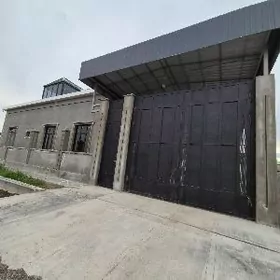 Anew Magtymguly plan