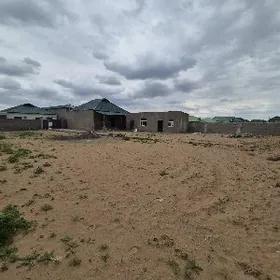 Anew Magtymguly plan