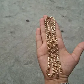 kopya gyzyl yaly kardinal