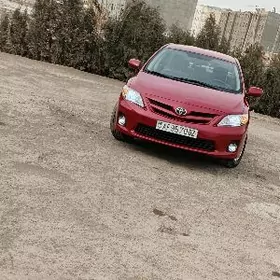 Toyota Corolla 2011