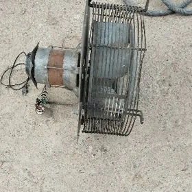 WITCKA DYMAHOT ULTKA