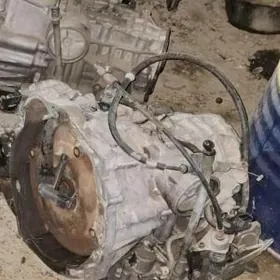 Sunny 1998ý karopga