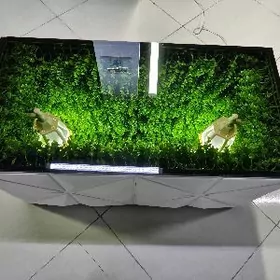 Zurnal stol çyraly aýnaly.